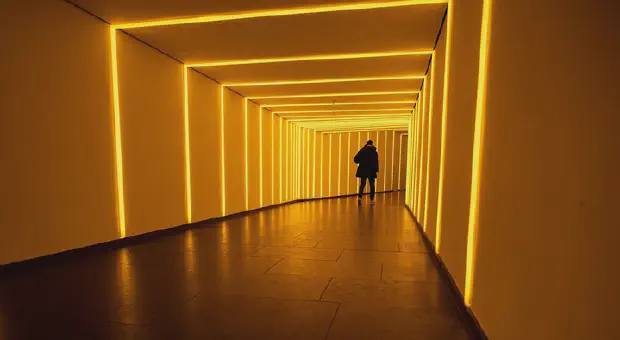 Featured image of post Expose Your Homelab Like a Pro (Without Opening Ports) - Cloudflare Tunnels