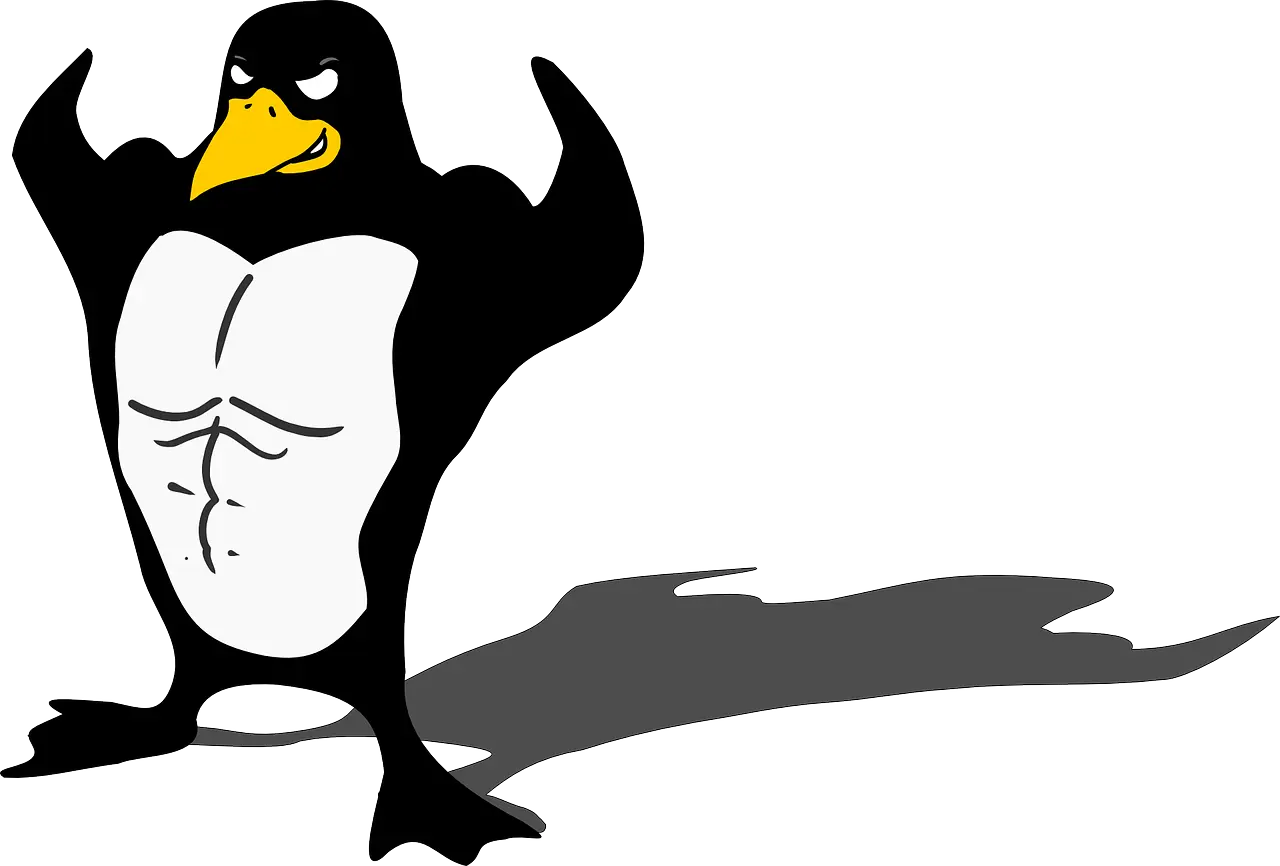 Linux terminal
